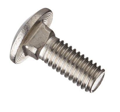 CARRIAGE SCREWS SS 1/4-20X1-1/2