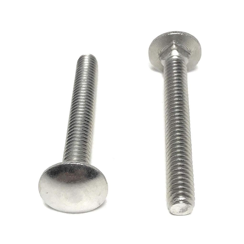 CARRIAGE SCREWS SS 1/4-20X2