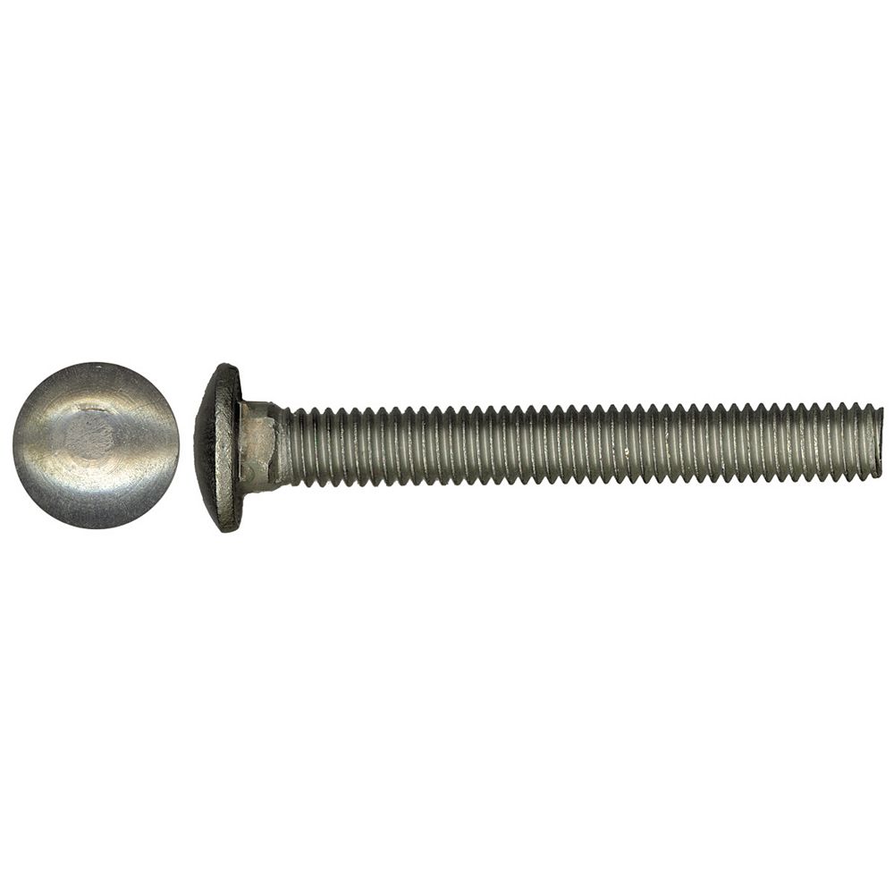 CARRIAGE SCREWS SS 3/8-16X4
