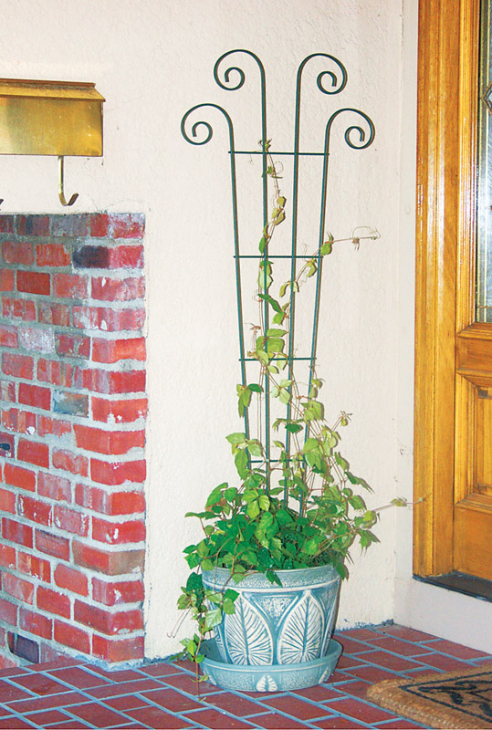 WAVED SCROLED TRELLIS 4'