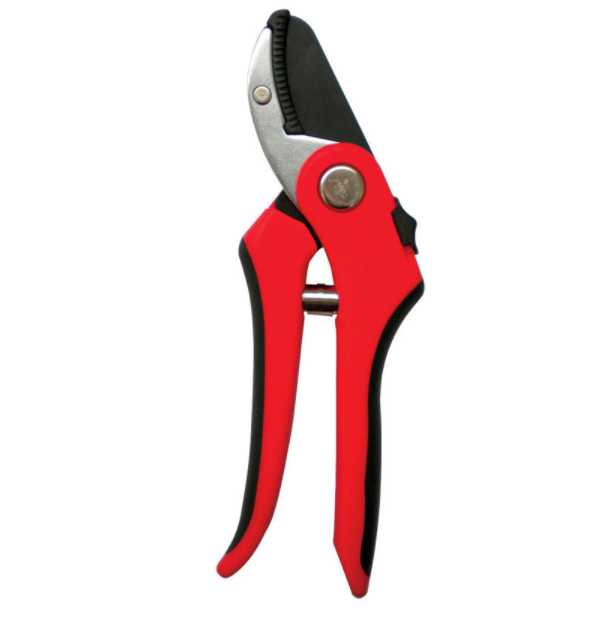 ANVIL SHEAR 8"                          