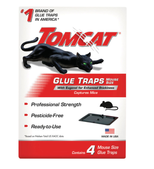 MOUSE GLUE TRP EUGENL4PK                