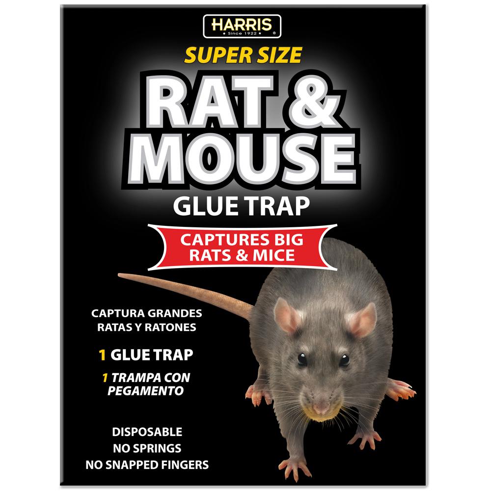 SUPER SIZE RAT GLUE TRAP                