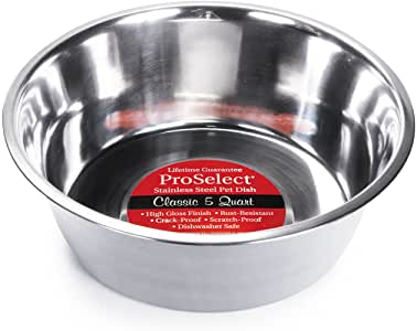 STNLS STEEL PET DISH 5QT                