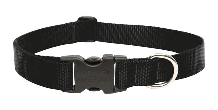 DOG COLLAR 12-20"ADJ BLK                