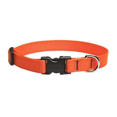 DOG COLLAR 9-14"BLZORNG                 