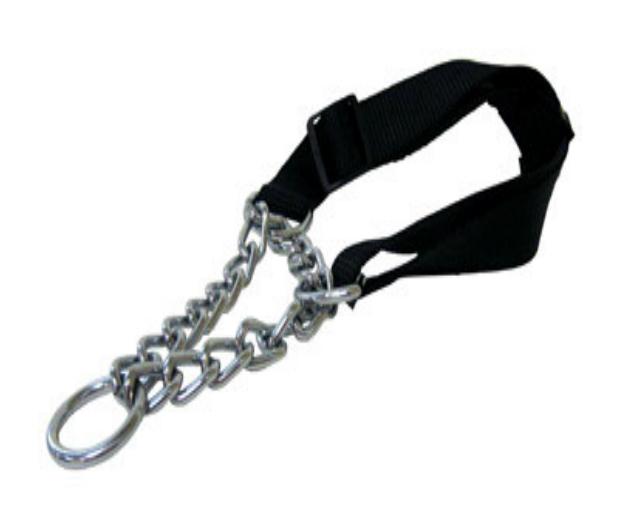 BLACK COLLAR MARTINGALE                 