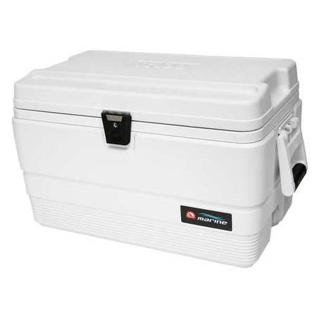 COOLER MARINE 54 QT WHT                 