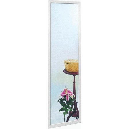 Erias 49 in. H x 13 in. W White Plastic Full Length Door Mirror.