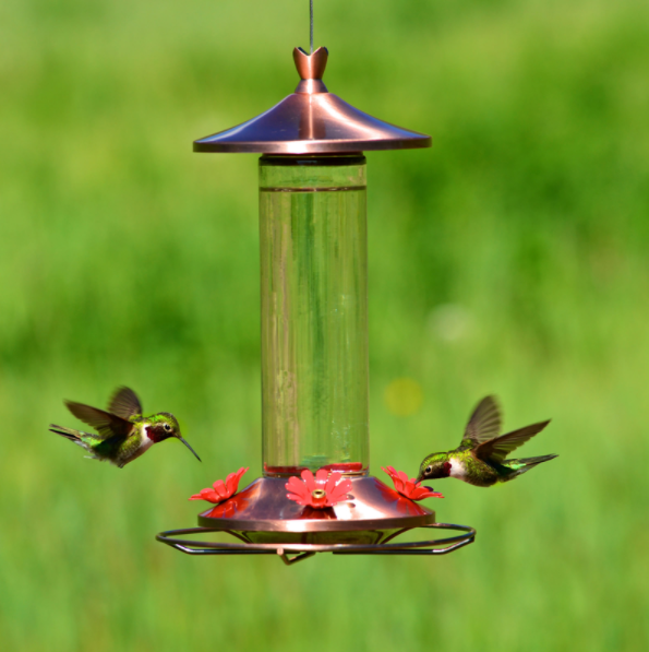 HUMMINGBIRD FEEDER BRNZ