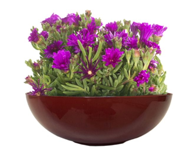 BOWL PLANTER RED 11.8"D