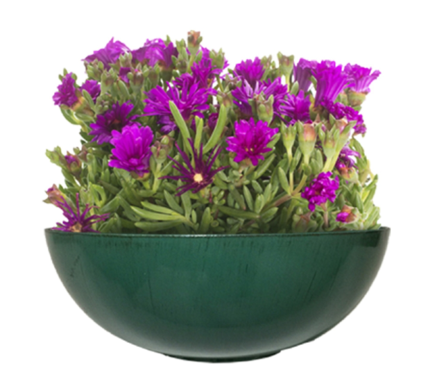 BOWL PLANTER GRN 11.8"D
