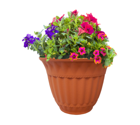 PLANTR CLAY 9.1"H 12"DIA