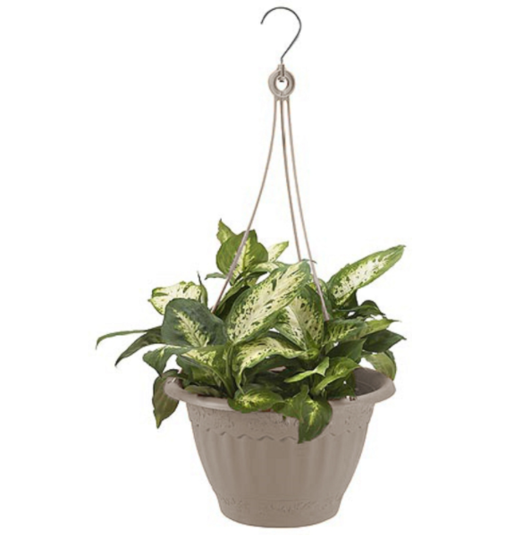 HANG BASKET STONE 6.53"H