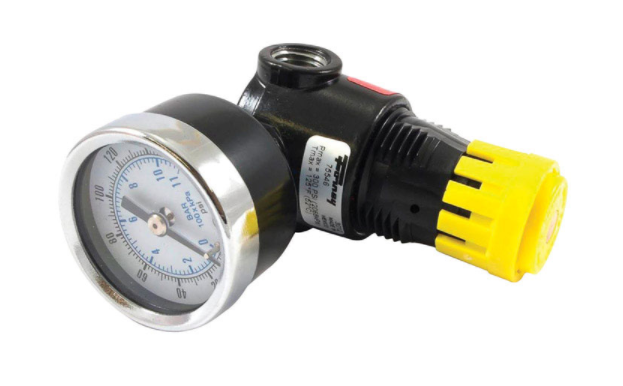 MNI REGULATW/GAGE 300PSI                