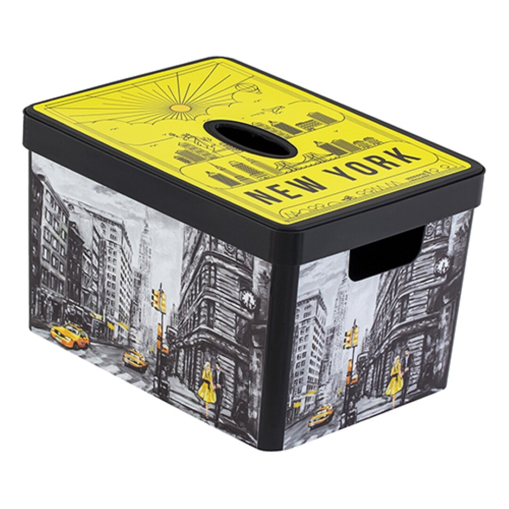 Decorated Box-New York