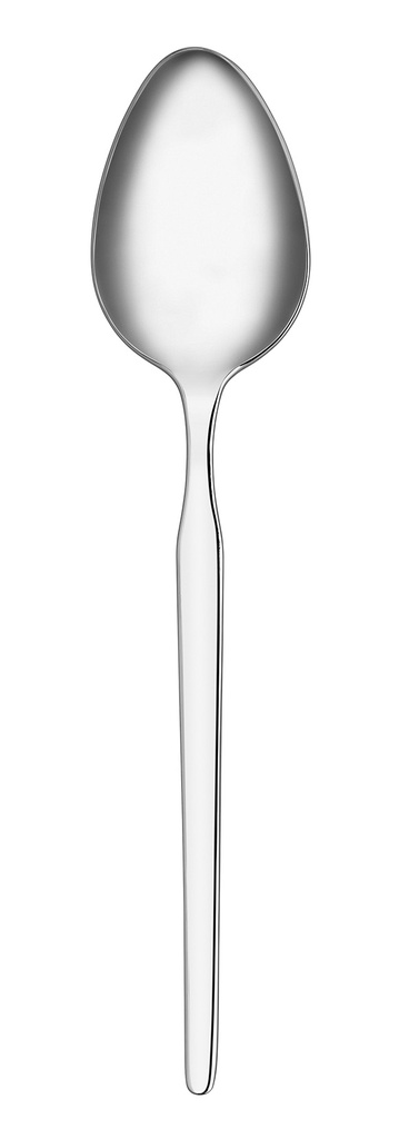 A2110 Truva 6 pcs Dinner Spoon