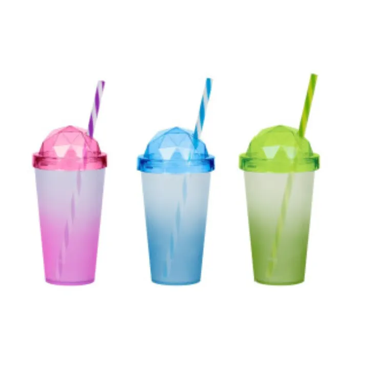 660 ml Double ColourTumbler with Straw-Pink-Blue-Green