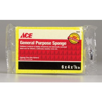 SPONGE 5.5X3.9X.7