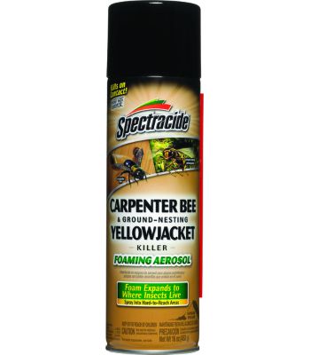 Carpenter Bee& Wasp 16Oz.