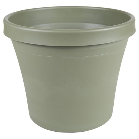 Terrapot Thyme Green 12"