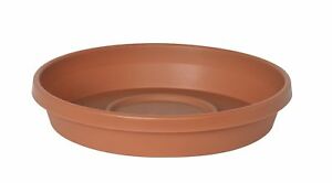 Terratray 20" Clay.