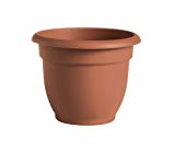 Ariana Planter 8" Clay