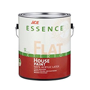 Ace Essence Flat Tintable Base Acrylic Latex House Paint Outdoor 1 gal