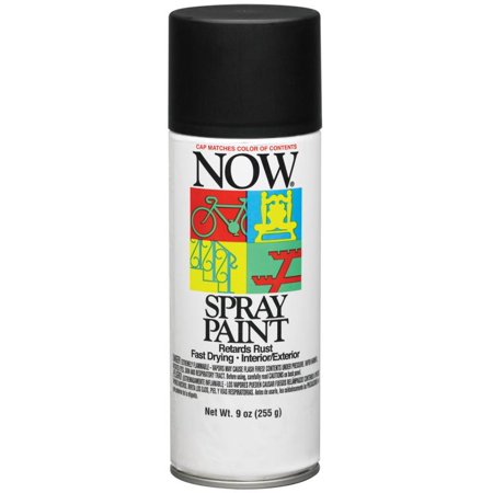 Now Spry Pnt Flt Blk9Oz