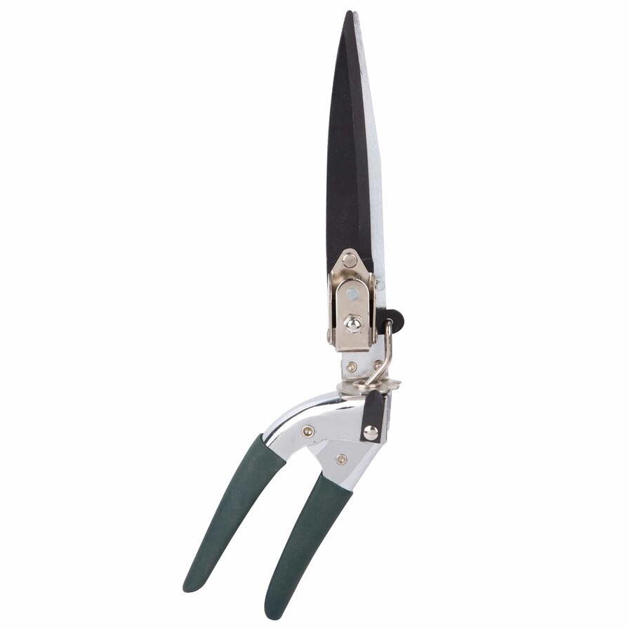 Shear Grass 34.29Cm (13.5In) Red Ace