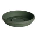 Terratray Thyme Green6"