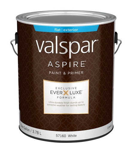 ASPR EXT FLT BW  1GAL