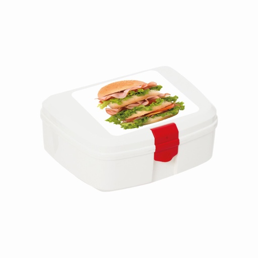 New Lunch Box-Sandwich