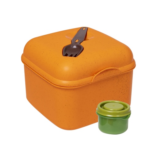 Salad Box-Orange