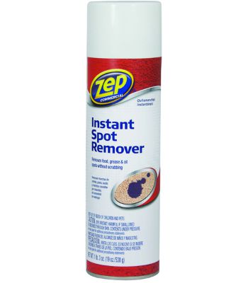 Stain & Spot Removr 19OZ.