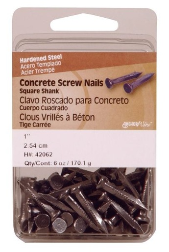 Ace Concrete Nail 1" -1#