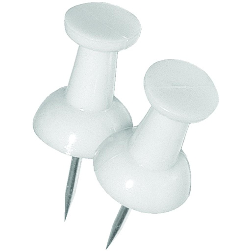 Push Pin White (16)