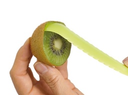 Citrus Kiwi Tool Green Abs Zyliss.