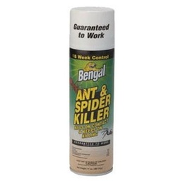 Ant&amp;Spider Killr 17Oz