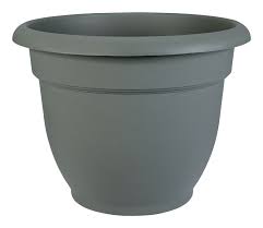 Ariana Plntr 12&quot;Thymegrn