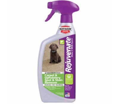 Carpet&Uphols Clnr 32Oz                 