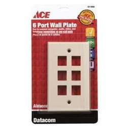 Port 6 Wall Plate White Ace