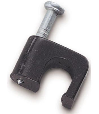 Staple Oax Smny Bk Cd25