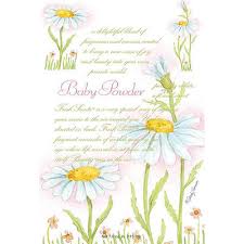 Fs Lg 18Pk Baby Powder                  