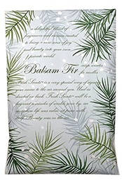 Fs Lg 18Pk Balsam Fir                   