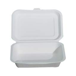 Disposible Lunch Box