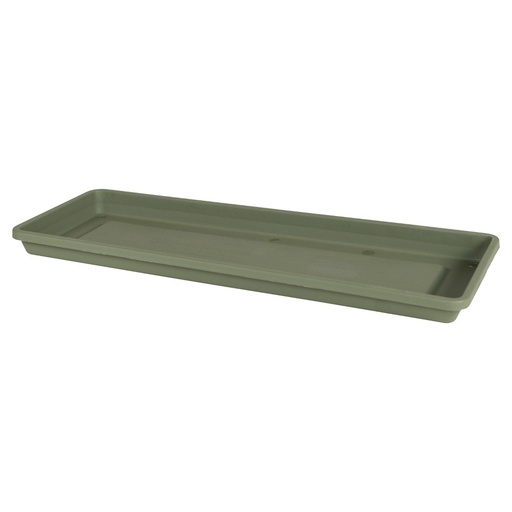 Terrabx Tray Thym Grn18"