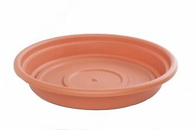 TERRATRAY TRCOT 10"
