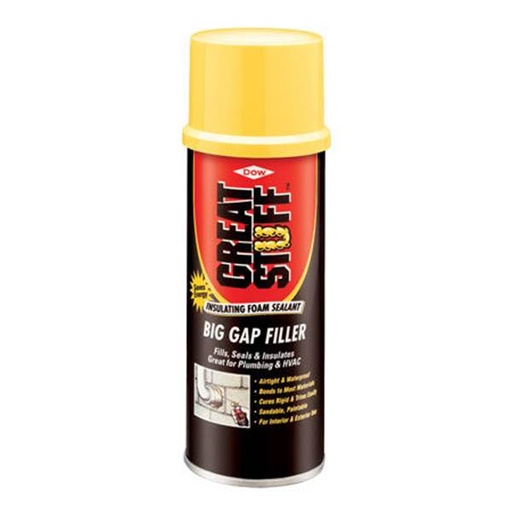 Great Stuff Big Gap 12Oz