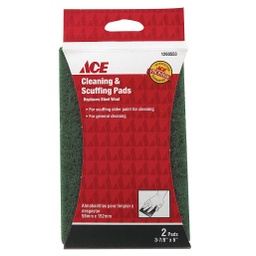 CLEANING/SCUFFING PAD2PK